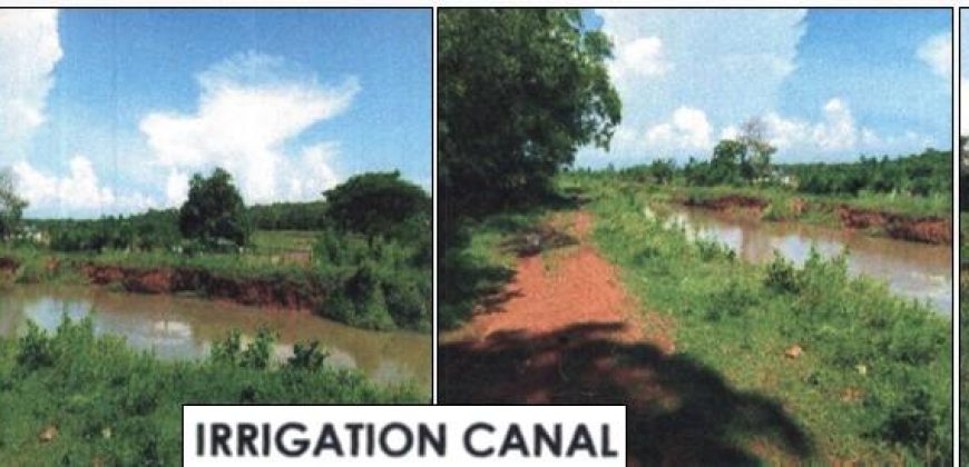 Foreclosed Agricultural Lot in Echague, Isabela, Luzon #7