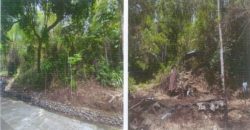 Foreclosed Agricultural Lot in Barbaza, Antique (PDIC)