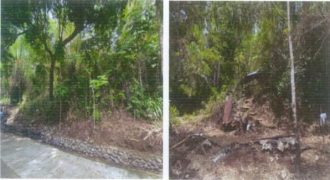 Foreclosed Agricultural Lot in Barbaza, Antique (PDIC)