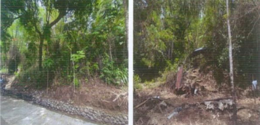 Foreclosed Agricultural Lot in Barbaza, Antique (PDIC)
