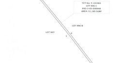Foreclosed Agricultural Lot in Cabatuan, Isabela · Lot 996-C (PDIC)