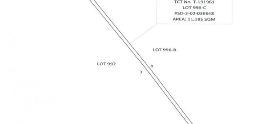Foreclosed Agricultural Lot in Cabatuan, Isabela · Lot 996-C (PDIC)