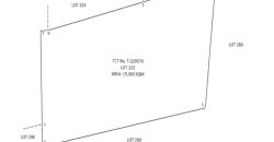 Foreclosed Agricultural Lot in Cabatuan, Isabela · Lot 223 (PDIC)