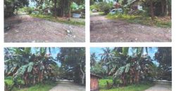 Foreclosed Property in Butuan City, Agusan del Norte · Lot 1189 (PDIC)