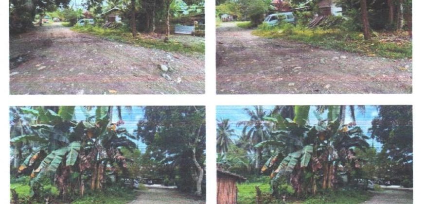 Foreclosed Property in Butuan City, Agusan del Norte · Lot 1189 (PDIC)
