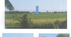 Foreclosed Agricultural Lot in Calasiao, Pangasinan (PDIC)