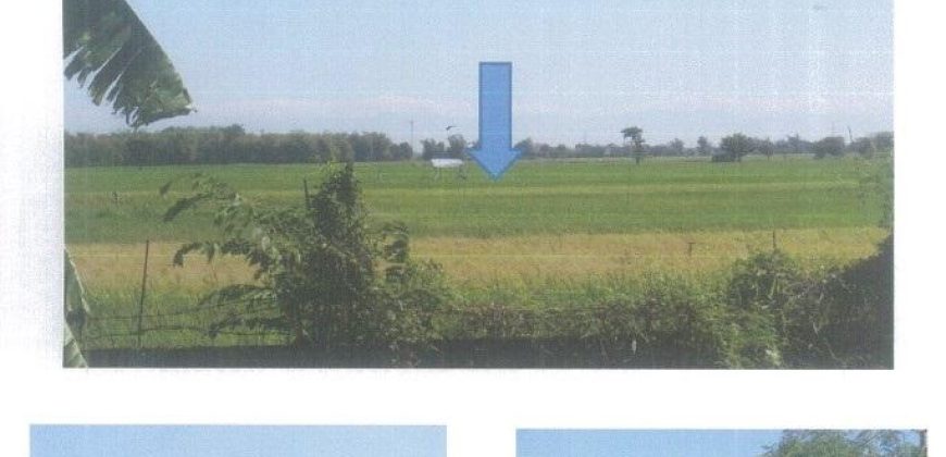 Foreclosed Agricultural Lot in Calasiao, Pangasinan (PDIC)