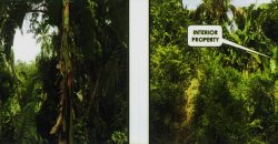 Foreclosed Agricultural Lot in Cebu City