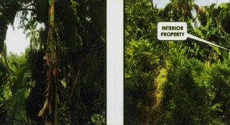 Foreclosed Agricultural Lot in Cebu City
