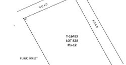 Foreclosed Agricultural Lot in Bataraza, Palawan (PDIC)