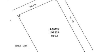 Foreclosed Agricultural Lot in Bataraza, Palawan (PDIC)