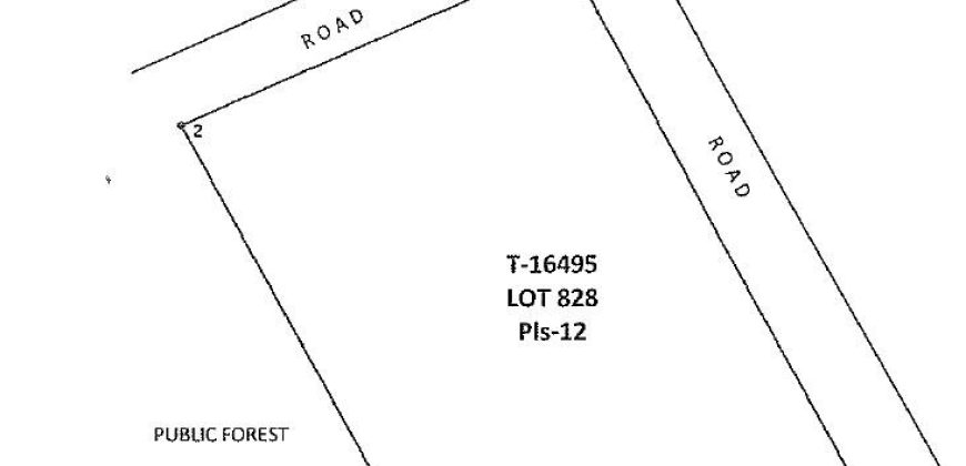 Foreclosed Agricultural Lot in Bataraza, Palawan (PDIC)