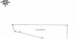 Foreclosed Agricultural Lot in Malasiqui, Pangasinan · Lot 12187-H (PDIC)