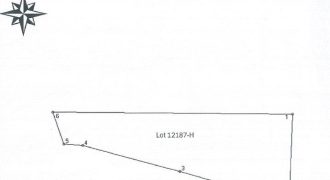 Foreclosed Agricultural Lot in Malasiqui, Pangasinan · Lot 12187-H (PDIC)