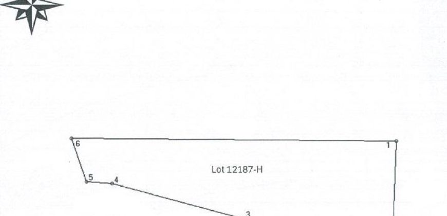 Foreclosed Agricultural Lot in Malasiqui, Pangasinan · Lot 12187-H (PDIC)