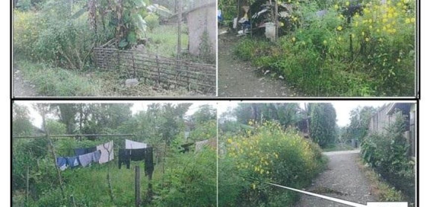 Foreclosed Property in Sofronio Española, Palawan (PDIC)