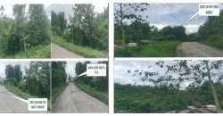 Foreclosed Agricultural Lot in Roxas, Palawan (PDIC)