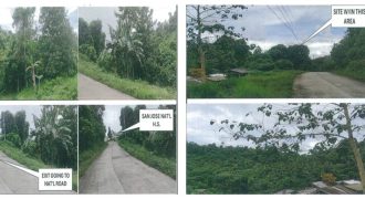 Foreclosed Agricultural Lot in Roxas, Palawan (PDIC)