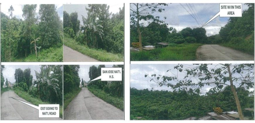 Foreclosed Agricultural Lot in Roxas, Palawan (PDIC)