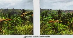 Foreclosed Agricultural Lot in Limay, Bataan (PDIC)
