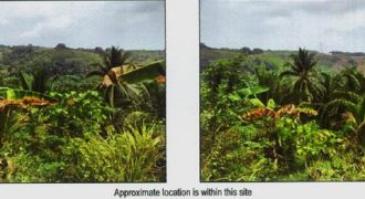 Foreclosed Agricultural Lot in Limay, Bataan (PDIC)