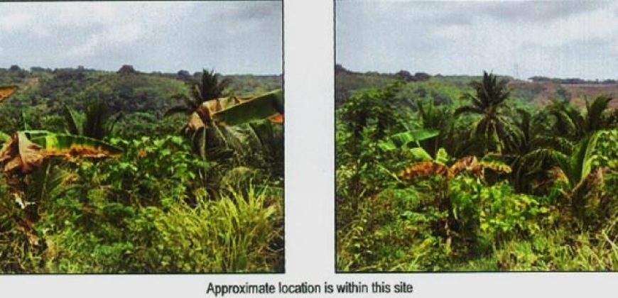 Foreclosed Agricultural Lot in Limay, Bataan (PDIC)