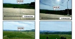 Foreclosed Agricultural Lot in Burgos, Ilocos Norte (PDIC)