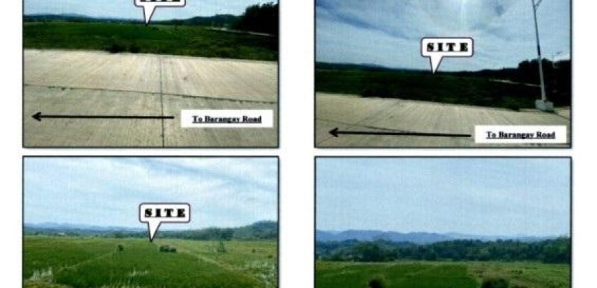 Foreclosed Agricultural Lot in Burgos, Ilocos Norte (PDIC)