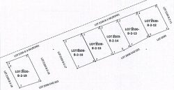 Foreclosed Residential Lot in Juban, Sorsogon, Luzon #15