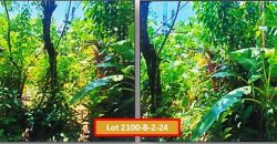 Foreclosed Residential Lot in Juban, Sorsogon – Sto. Niño Subd. · Lot No. 2100-B-2-24 (PDIC)