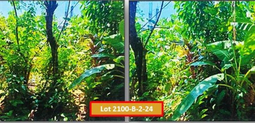 Foreclosed Residential Lot in Juban, Sorsogon – Sto. Niño Subd. · Lot No. 2100-B-2-24 (PDIC)
