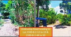 Foreclosed Residential Lot in Juban, Sorsogon – Sto. Niño Subd. · Lot No. 2100-B-2-49 (PDIC)