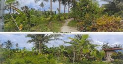 Foreclosed Agricultural Lot in San Fernando City, Cebu · Lot No. 7558 (PDIC)