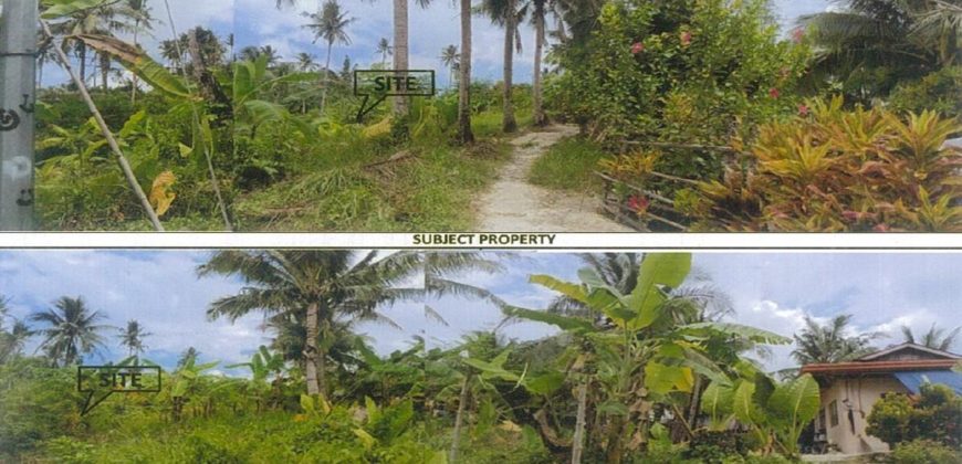Foreclosed Agricultural Lot in San Fernando City, Cebu · Lot No. 7558 (PDIC)