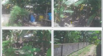 Foreclosed Residential Lot in Mabitac, Laguna (PDIC)