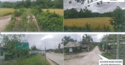 Foreclosed Agricultural Lot in Roxas, Palawan · Lot No. 1606 (PDIC)