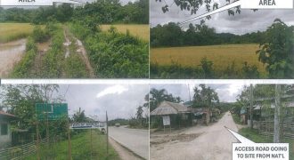 Foreclosed Agricultural Lot in Roxas, Palawan · Lot No. 1606 (PDIC)