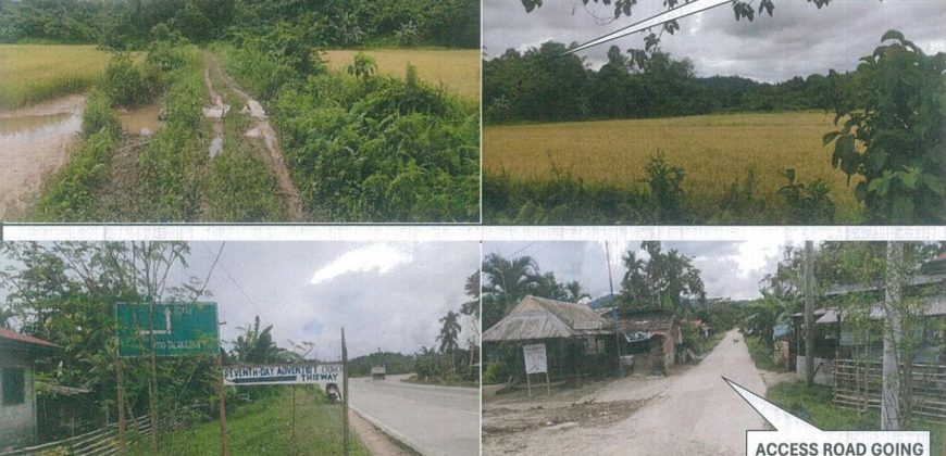 Foreclosed Agricultural Lot in Roxas, Palawan · Lot No. 1606 (PDIC)