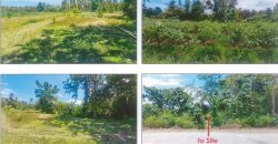 Foreclosed Agricultural Lot in Quezon City, Palawan (PDIC)