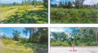 Foreclosed Agricultural Lot in Quezon City, Palawan (PDIC)