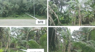 Foreclosed Property in Sofronio Española, Palawan · Lot No. 13441 (PDIC)