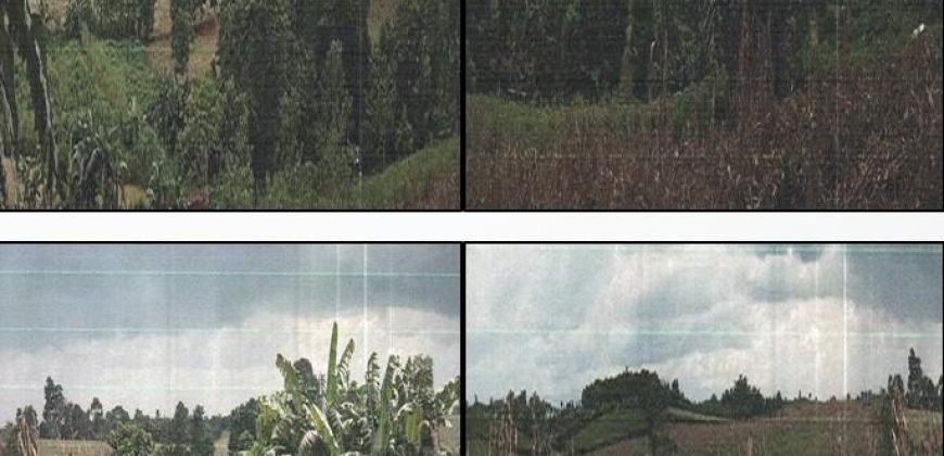 Foreclosed Agricultural Lot in City Of Cauayan City, Isabela · Lot 1727 (PDIC)