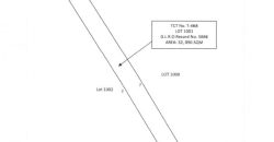 Foreclosed Agricultural Lot in Cabatuan, Isabela · Lot 1001 (PDIC)