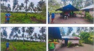Foreclosed Agricultural Lot in Sofronio Española, Palawan · Lot No. 9786 (PDIC)