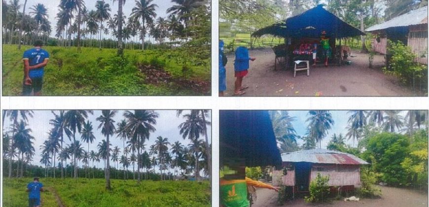 Foreclosed Agricultural Lot in Sofronio Española, Palawan · Lot No. 9786 (PDIC)