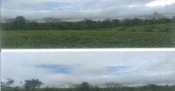 Foreclosed Agricultural Lot in Jones, Isabela · Lot 145-G (PDIC)
