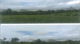 Foreclosed Agricultural Lot in Jones, Isabela · Lot 145-G (PDIC)