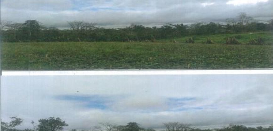 Foreclosed Agricultural Lot in Jones, Isabela · Lot 145-G (PDIC)