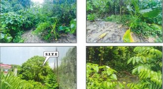 Foreclosed Residential Lot in Quezon City, Palawan · Lot 4-E-6 (PDIC)