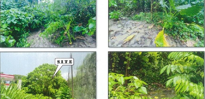 Foreclosed Residential Lot in Quezon City, Palawan · Lot 4-E-6 (PDIC)